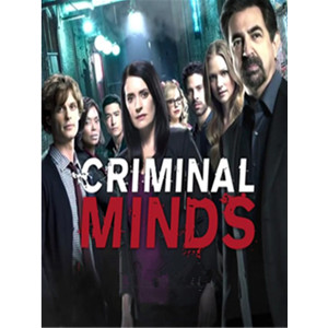 Criminal Minds Seasons 1-15 DVD Box Set - Click Image to Close